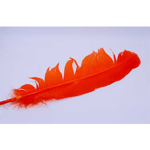 Orange feather 12"