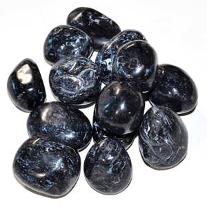 Black Fossil Stone tumbled stones 1 lb