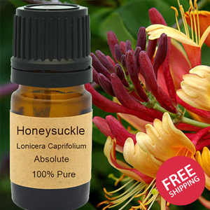 Honeysuckle Absolute 5 ml, 10 ml or 15 ml
