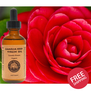 Organic Camellia Seed Oil (Cold Pressed)