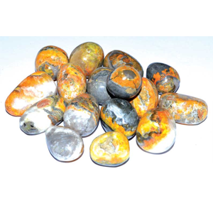 Bumble Bee Jasper tumbled stones 1 lb