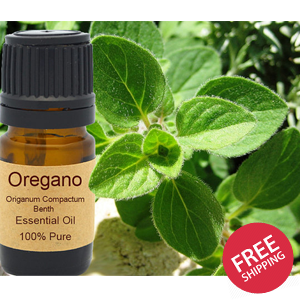 Oregano Essential Oil Organic 15ml
