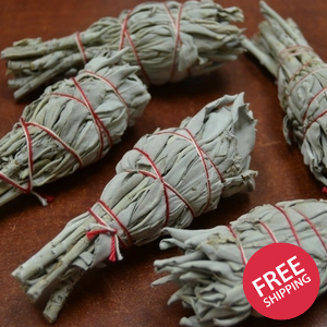 5 Pcs California Mini White Sage Bundle Smudge 3"