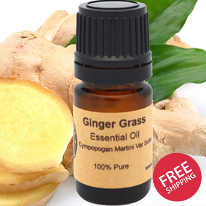 Ginger Essential Oil 15 ml
