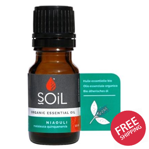 Organic Niaouli Essential Oil (Melaleuca QuinQuenervia) 10ml