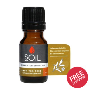 Organic Lemon Tea Tree Essential Oil 10ml