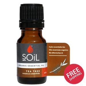 Organic Tea Tree Essential Oil (Melaleuca Alternifolia) 10ml