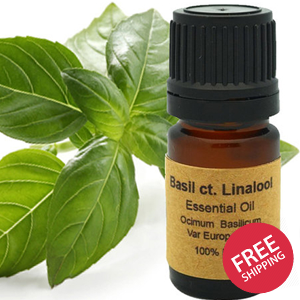 Basil CT. Linalool Essential oil 10 ml or 15 ml.