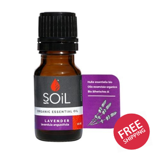 Organic Lavender Oil (Lavandula Angustifolia) 10ml