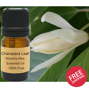 Champaca Leaf Essential Oil 5 ml, 10 ml or 15 ml