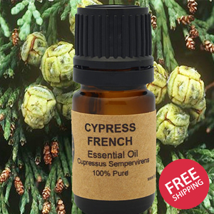 Cypress Essential Oil 10ml, 15ml