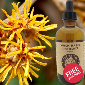 Witch Hazel Distillate Organic