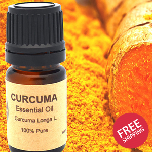 Turmeric Curcuma Essential Oil 10ml or 15 ml