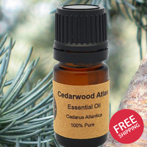 Cedarwood Atlas Essential Oil 15 ml