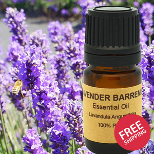 Lavender Barreme Essential Oil, France