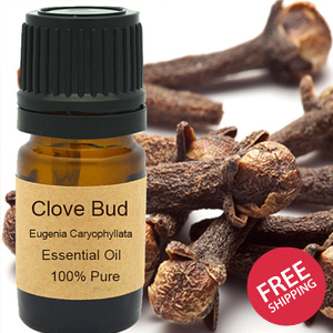 Clove Bud Essential Oil 15ml