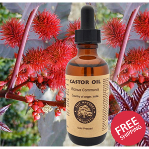 Organic Castor Oil (Expeller Pressed)