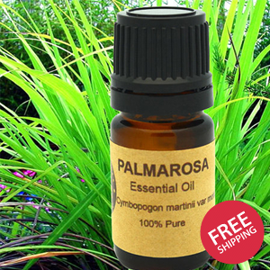 Palmarosa Organic Essential Oil 15ml