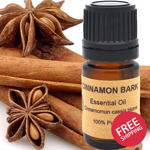 Cinnamon Bark Essential Oil 15 ml