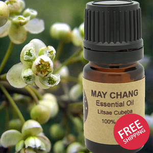May Chang Essential Oil 15ml