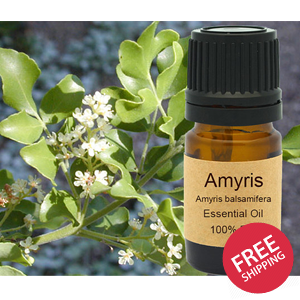 Amyris Essential Oil 15ml