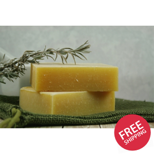 Natural Campers Shampoo & Body Bar - Insect