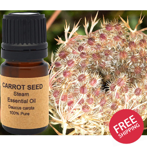 Carrot Seed Essential Oil 15ml