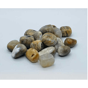 Agate, Dendritic tumbled stones 1 lb