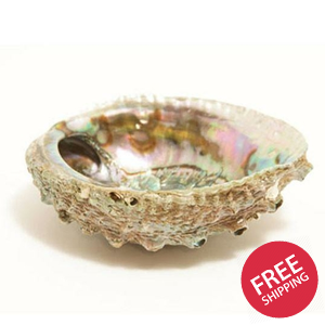 Smudge Ash Tray and Burner - Abalone shell - Large 5"-6.5"