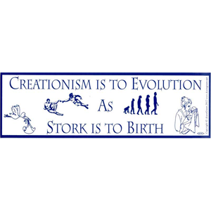 Creationism is to Evolution as Stork is to Birth bumper sticker - Wiccan Place