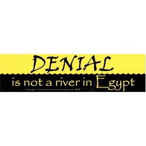 Denial Is Not A River In Egypt bumper sticker - Wiccan Place