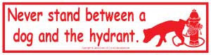Never Stand Between Bumper Sticker - Wiccan Place