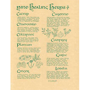 9 Herbs poster - Wiccan Place