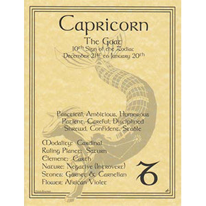 Capricorn Zodiac Sign (Sun in Capricorn) poster - Wiccan Place