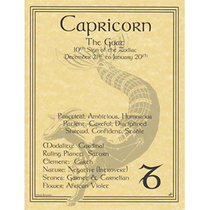 Capricorn Zodiac Sign (Sun in Capricorn) poster - Wiccan Place