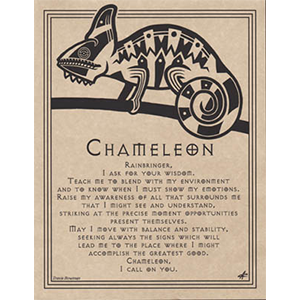 Chameleon Prayer poster - Wiccan Place