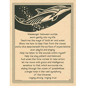 Dolphin poster - Wiccan Place