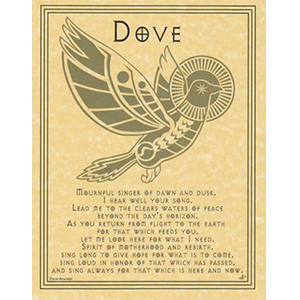 Dove Prayer poster - Wiccan Place