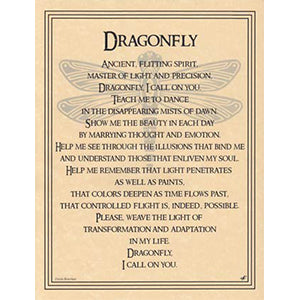 Dragonfly poster - Wiccan Place