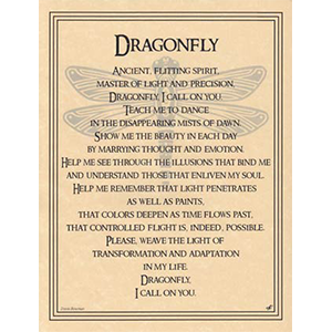 Dragonfly poster - Wiccan Place