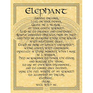 Elephant Prayer poster - Wiccan Place