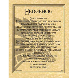 Hedgehog Prayer poster - Wiccan Place