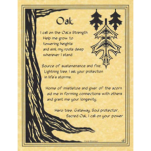Oak poster - Wiccan Place