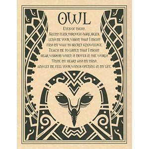 Owl poster - Wiccan Place