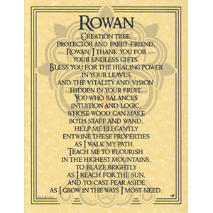 Rowan Tree poster - Wiccan Place