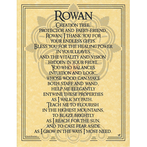 Rowan Tree poster - Wiccan Place