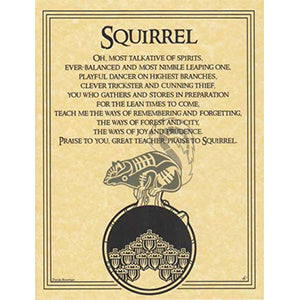 Squirrel Prayer poster - Wiccan Place