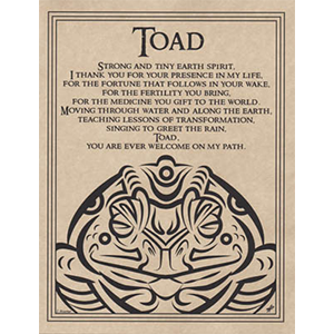 Toad Blessing poster - Wiccan Place
