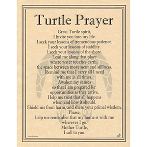 Turtle Prayer poster - Wiccan Place