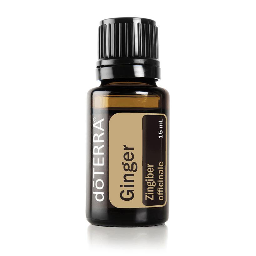 Ginger Essential Oil